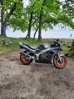 Suzuki RF 900 R