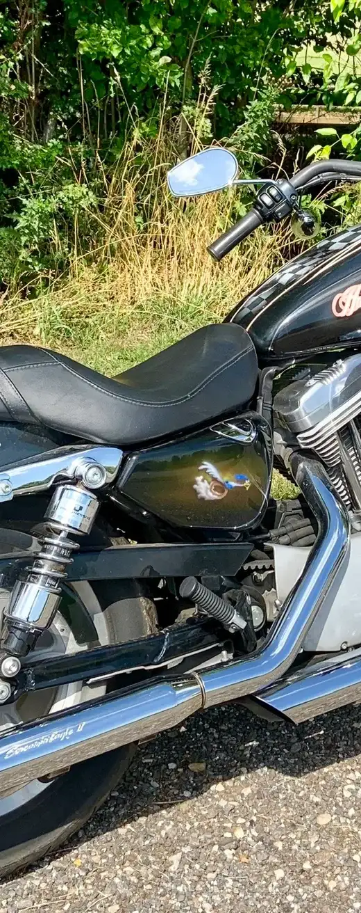 Harley-Davidson Custom Bike