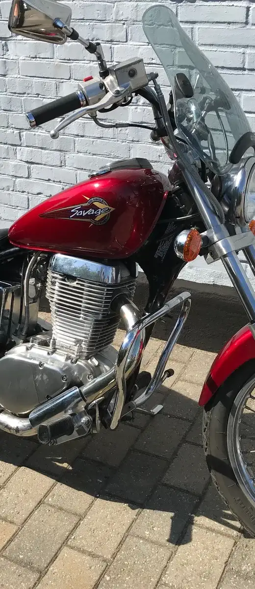 Suzuki LS 650