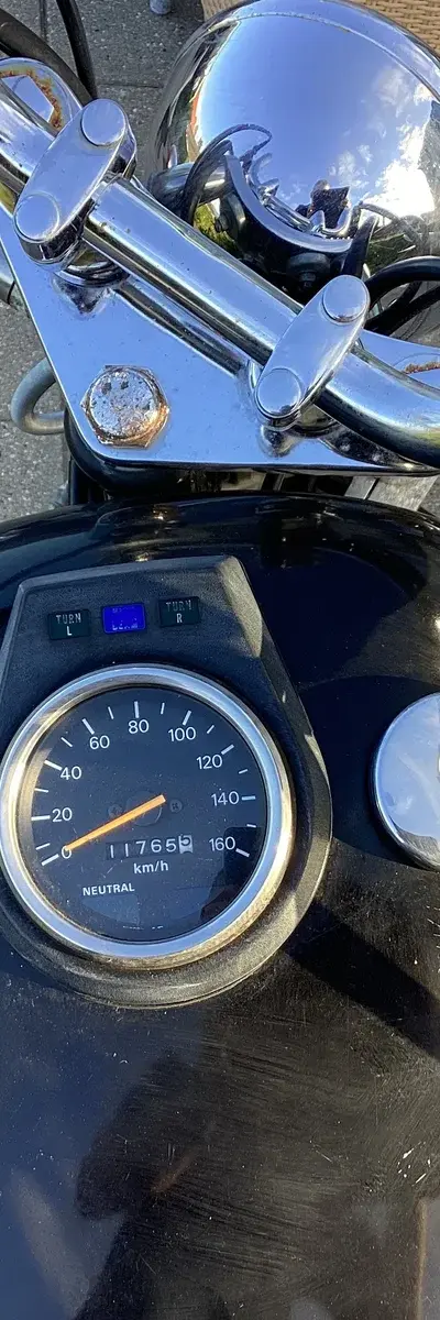 Suzuki LS 650 — billede 2