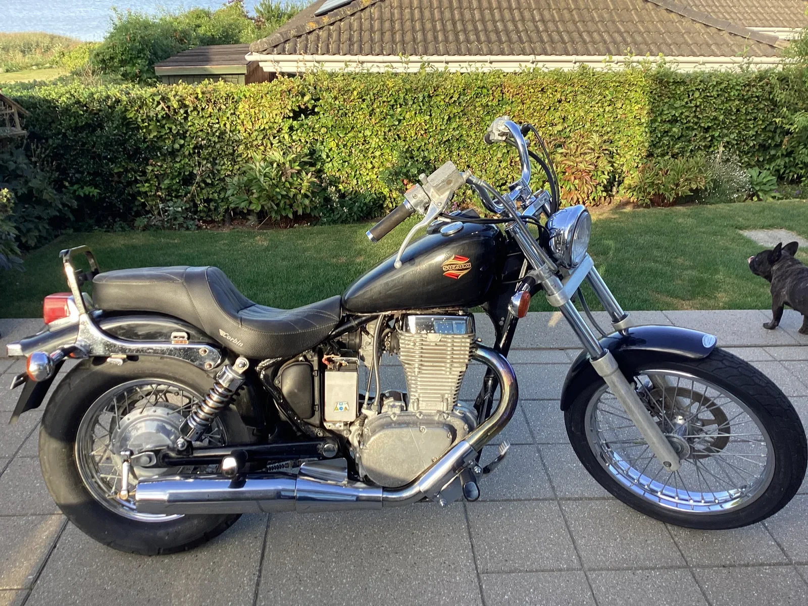 Suzuki LS 650