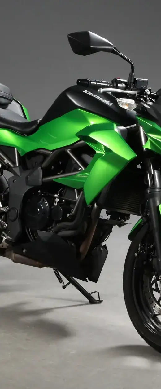 Kawasaki Z 250 SL