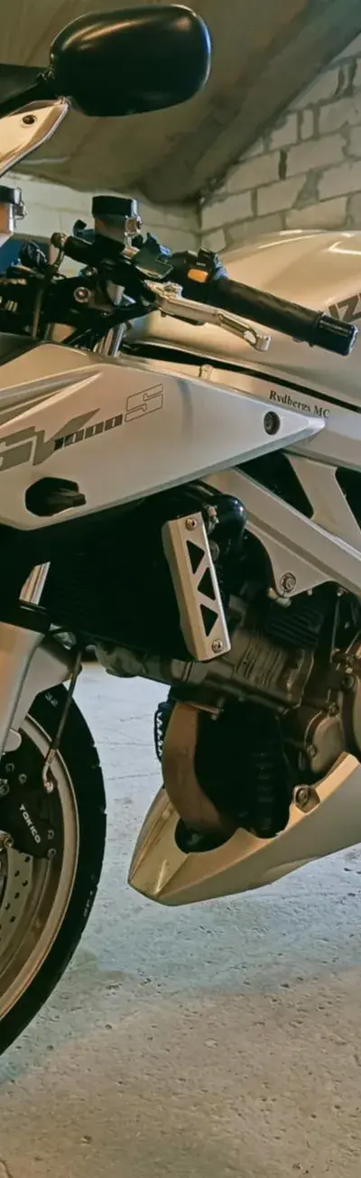 Suzuki SV 1000 S — billede 1