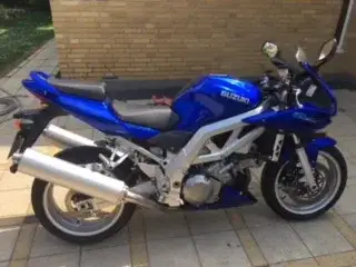 Suzuki SV 1000 S