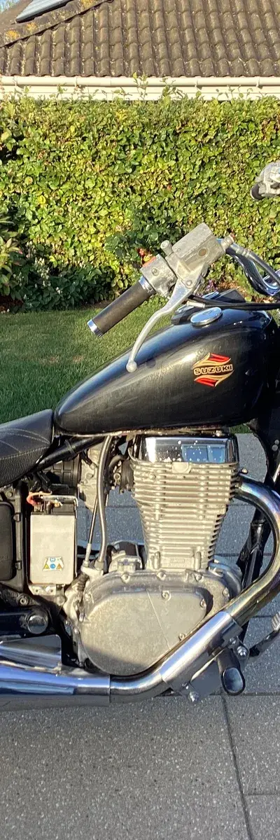 Suzuki LS 650 — billede 1