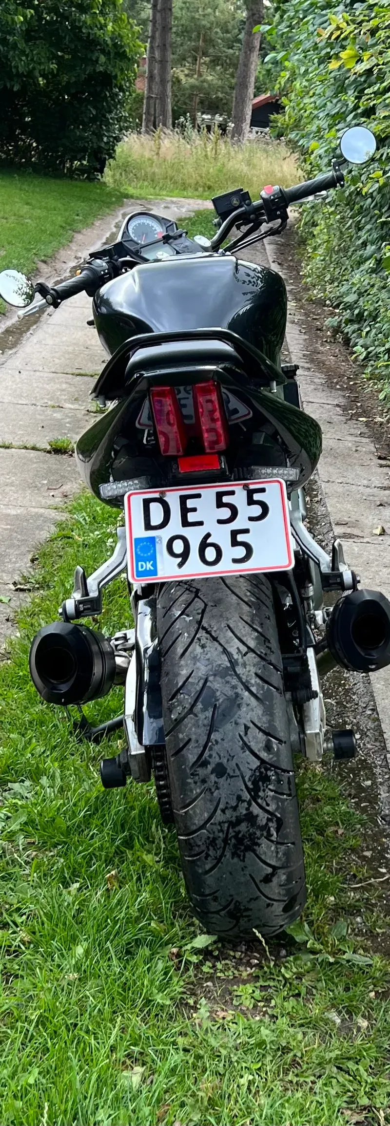 Suzuki SV 1000