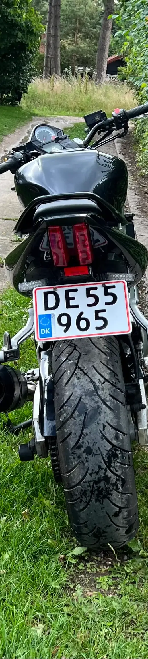 Suzuki SV 1000