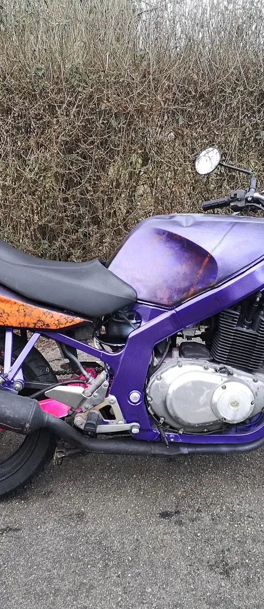 Suzuki GS 500